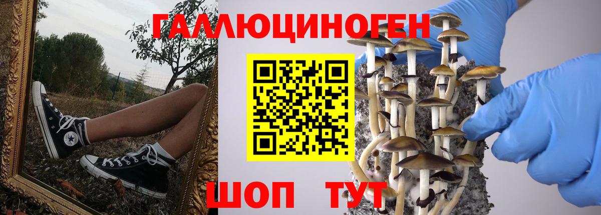 Сергиев Посад  Галлюциногенные грибы мицелий  Псилоцибиновые грибы Psilocybe  Вход с VPN 